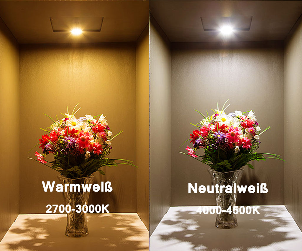 Warmweiß oder Neutralweiß?