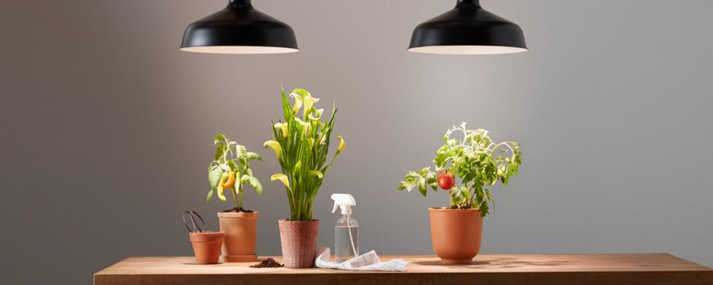 Verbessern Sie die Beleuchtung in Ihrem Schlafzimmer mit unserer LED-Glühbirne#led g9 7w#7w g9 lampen led#7w g9 led kaltesweiß#