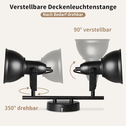HiBay Horn-Schirm 2 Flammig – Bild 2 #2 Flammig